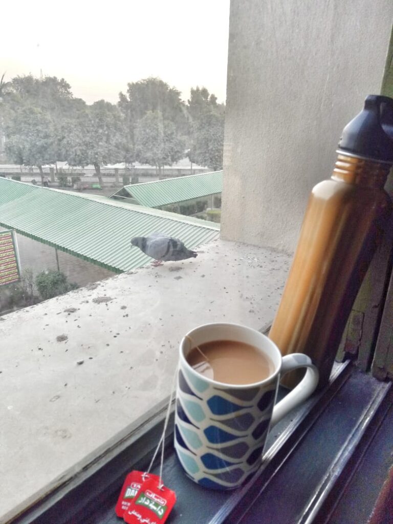 Habit 2 winter immune boosting habits