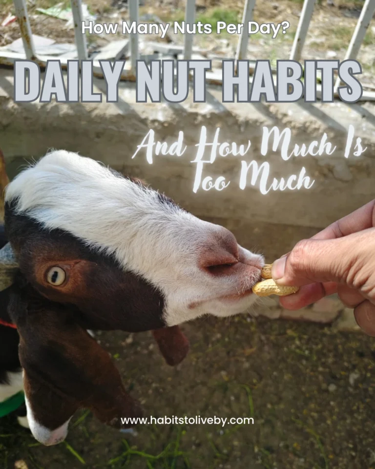 How Many Nuts Per Day? Daily Nut Habits, How Much Is Too Much